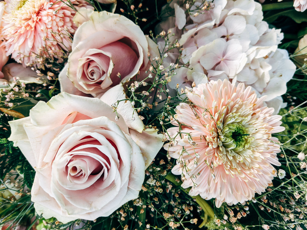 flowers on green background